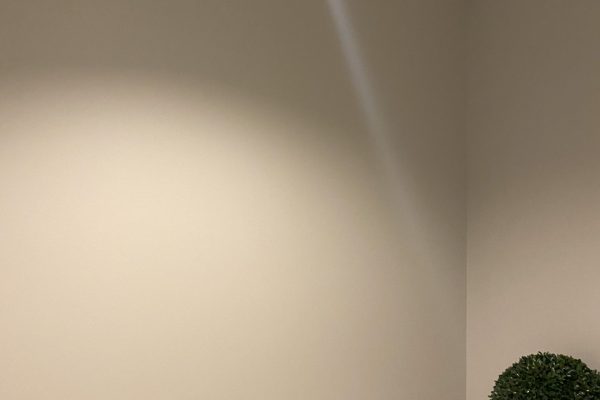 1201 North Royal (9)