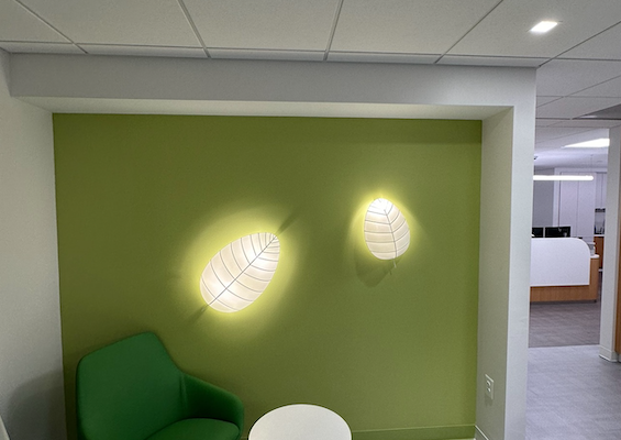 Inova Pediatric Children's Multi-Specialty feature wall